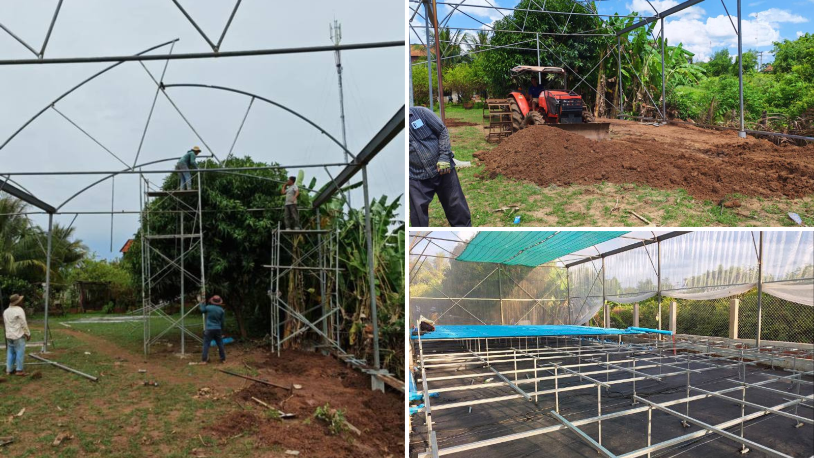 Baray Greenhouse Project