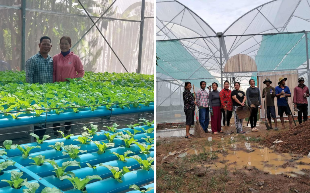 Recruitment & Training