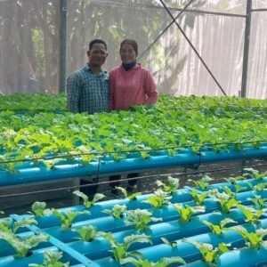 Farmer Capacity Building (Hydroponics)