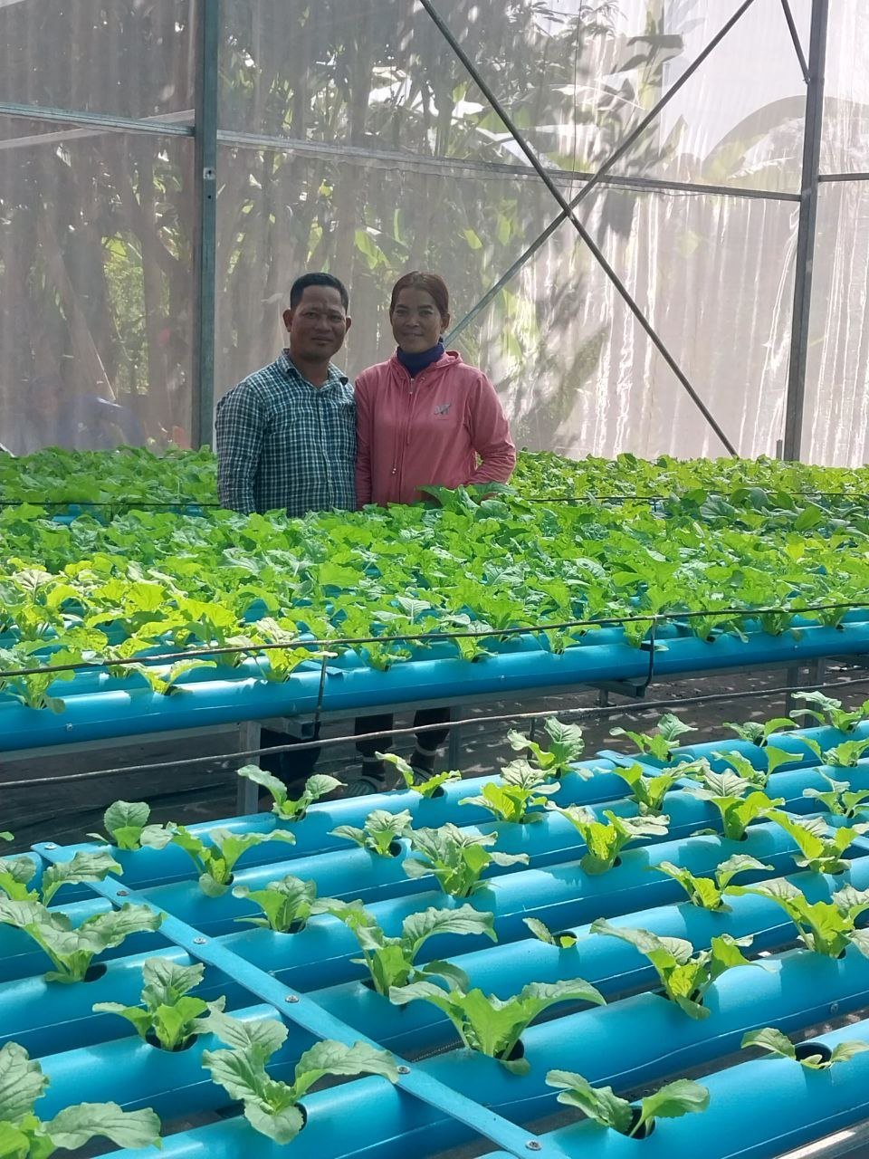 Farmer Capacity Building (Hydroponics)